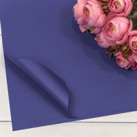 Плёнка в листах 60*60 (20 шт.) матовая "Корейская" 55мкм Синий 1/60 Арт: 001398/45