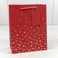 Пакет подарочный с тиснением "Сердечки" (микс 1) 18*23*10 210г 1/20 1/360 Арт: 000880E - Пакет подарочный с тиснением "Сердечки" (микс 1) 18*23*10 210г 1/20 1/360 Арт: 000880E