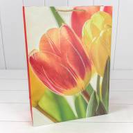 Пакет подарочный с блёстками "Тюльпаны" (микс 256) 30*41,5*12 210г 1/20 1/80 Арт: 000256A - Пакет подарочный с блёстками "Тюльпаны" (микс 256) 30*41,5*12 210г 1/20 1/80 Арт: 000256A