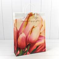 Пакет мягкий пластик Женский (ассортимент) 32*42*10 1/20 1/200 Арт: BAL-1 - Пакет мягкий пластик Женский (ассортимент) 32*42*10 1/20 1/200 Арт: BAL-1